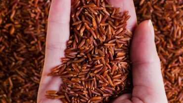 Czerwony ryż – skarb natury dla Twojego zdrowia