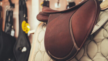 Ochraniacze transportowe dla konia – niezawodna ochrona w podróży